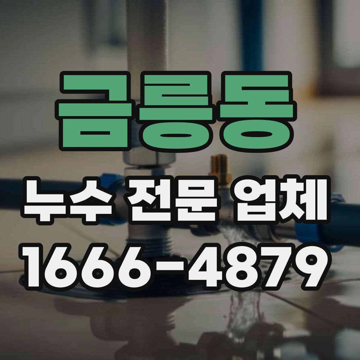금릉동 누수 전문 업체