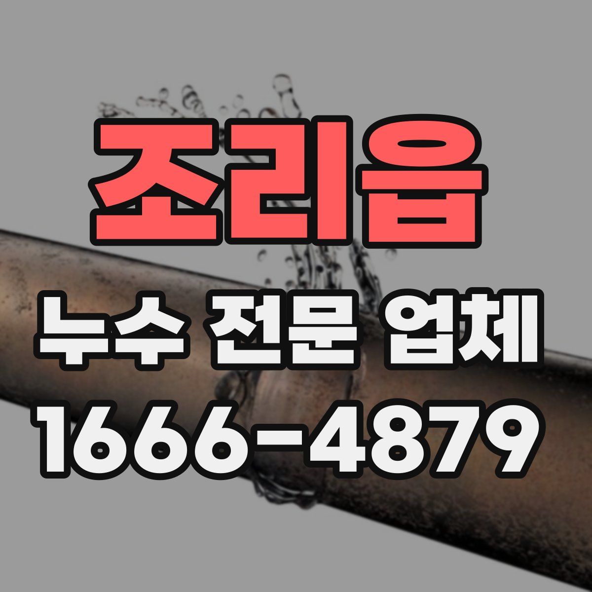 조리읍 누수 전문 업체