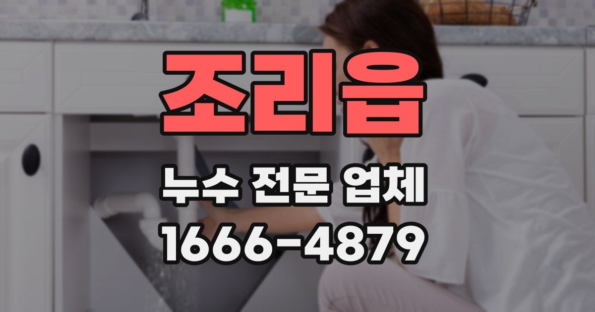 조리읍 누수 전문 업체