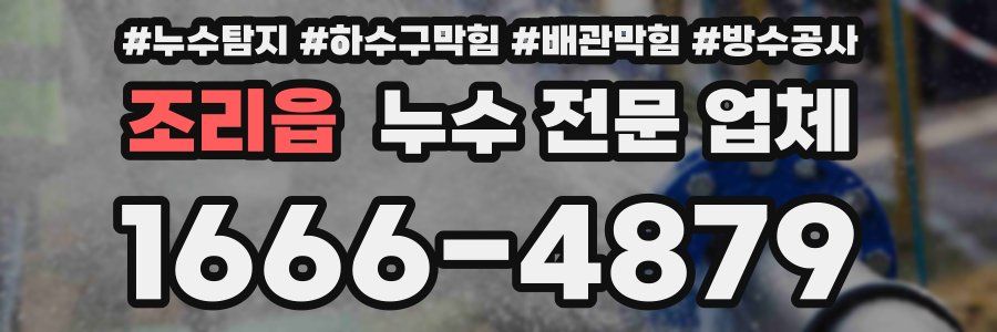 조리읍 누수 전문 업체