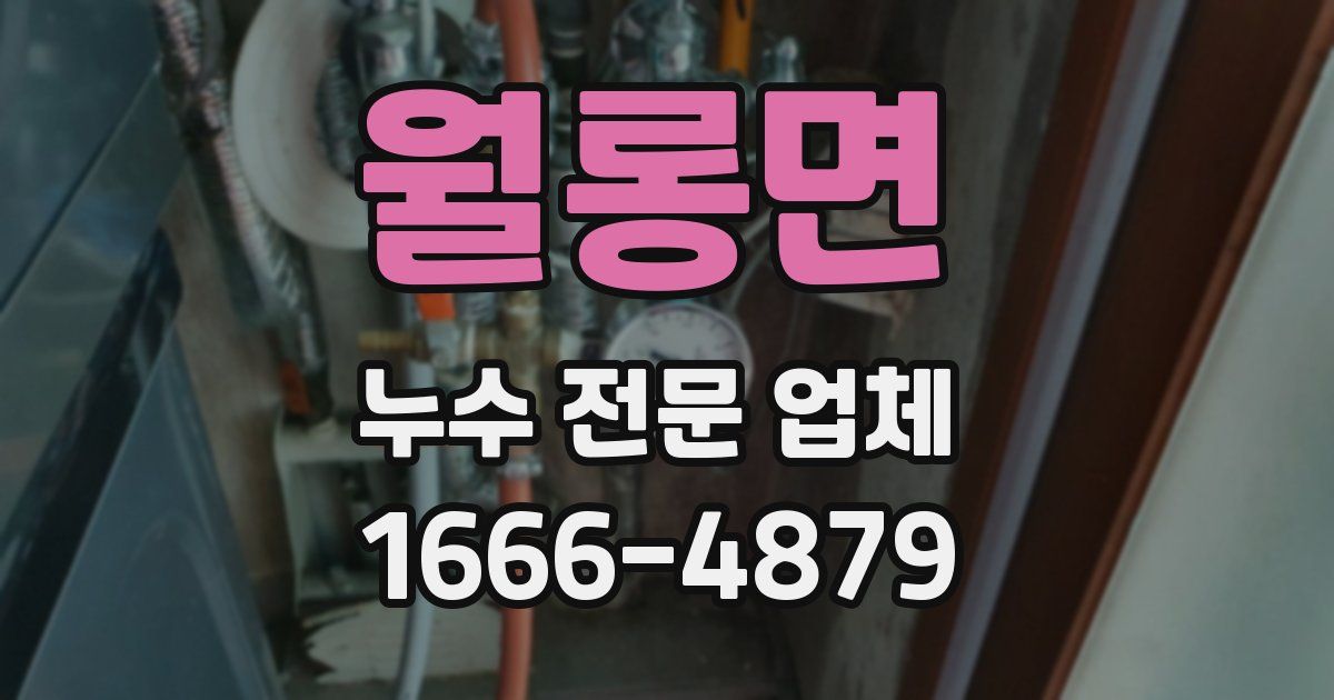 월롱면 누수 전문 업체
