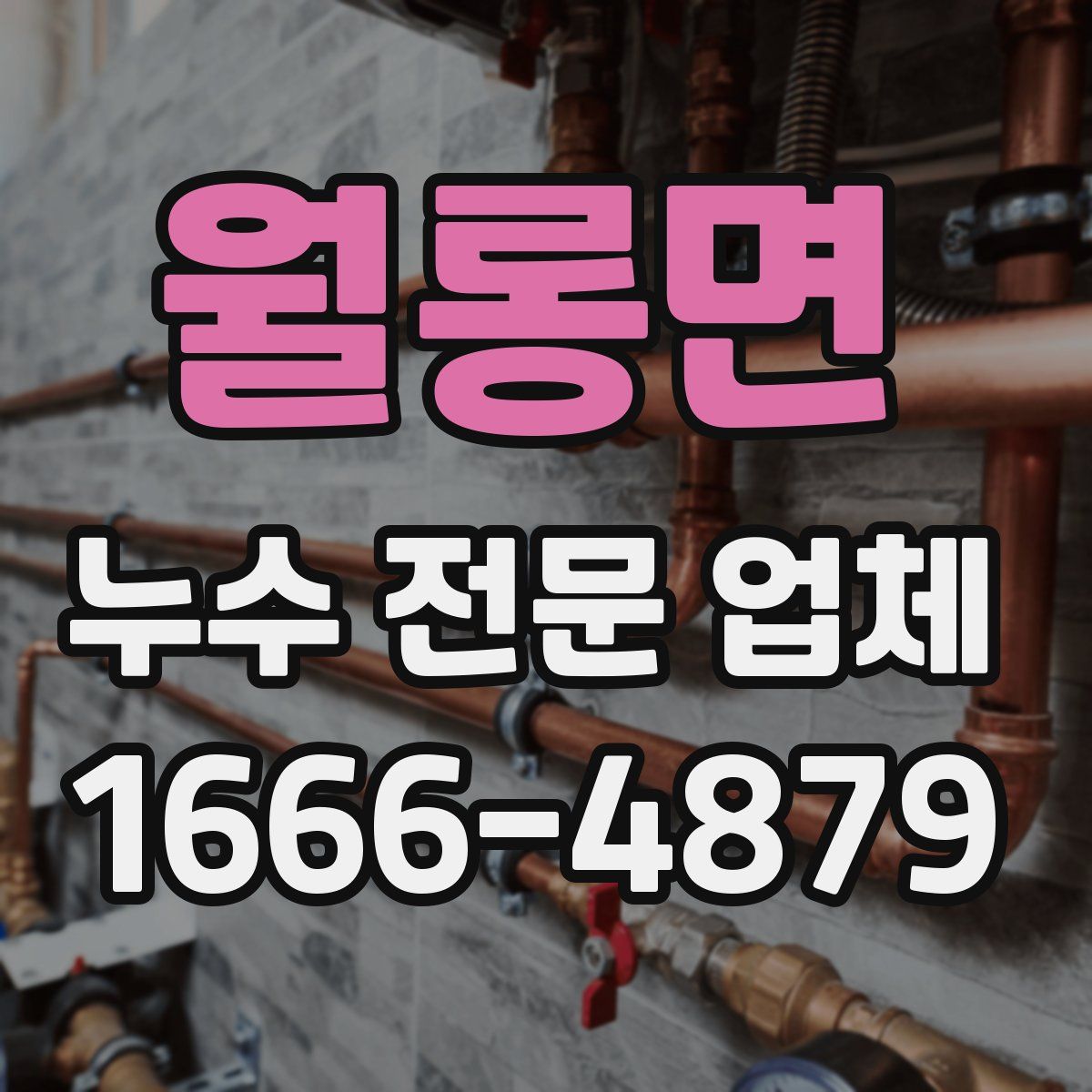 월롱면 누수 전문 업체