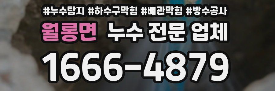 월롱면 누수 전문 업체