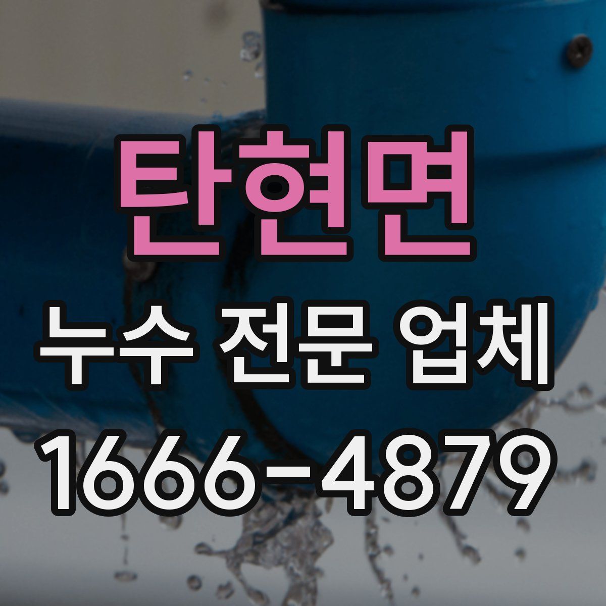 탄현면 누수 전문 업체