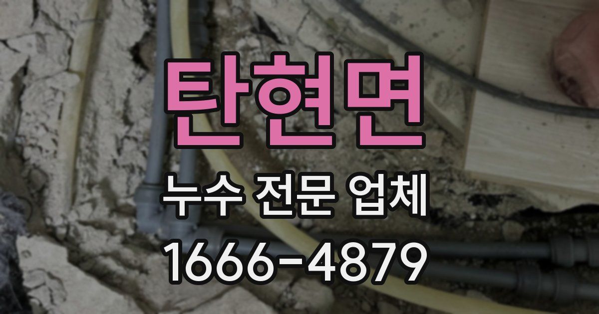 탄현면 누수 전문 업체