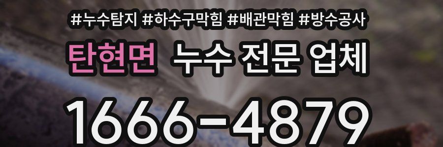 탄현면 누수 전문 업체