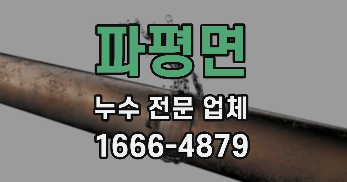 파평면 누수 전문 업체