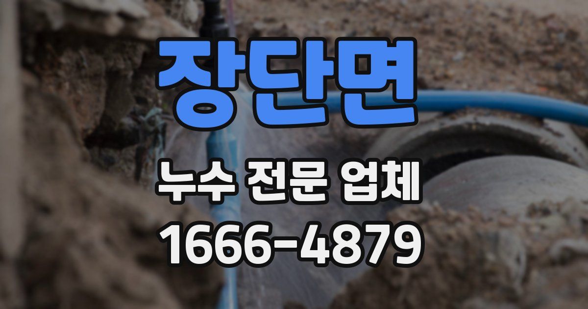 장단면 누수 전문 업체