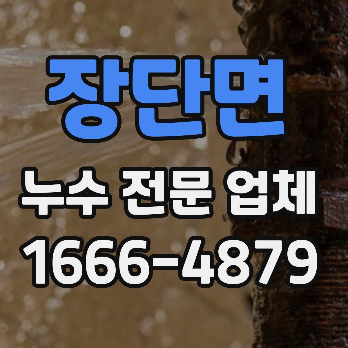 장단면 누수 전문 업체