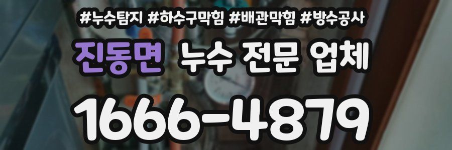 진동면 누수 전문 업체
