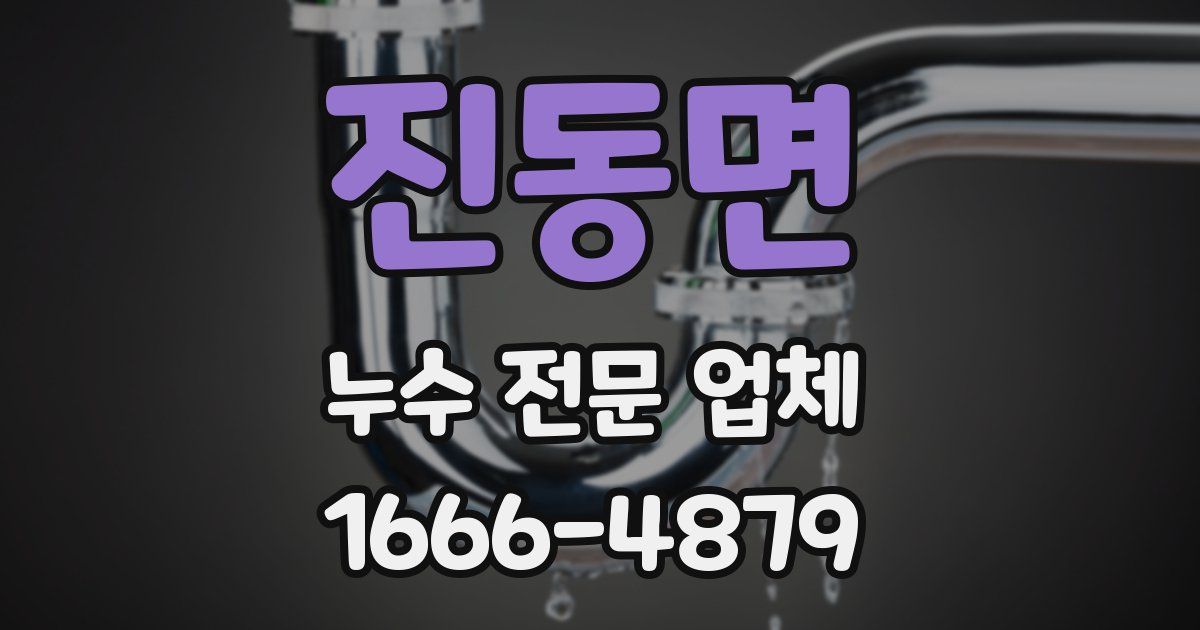 진동면 누수 전문 업체