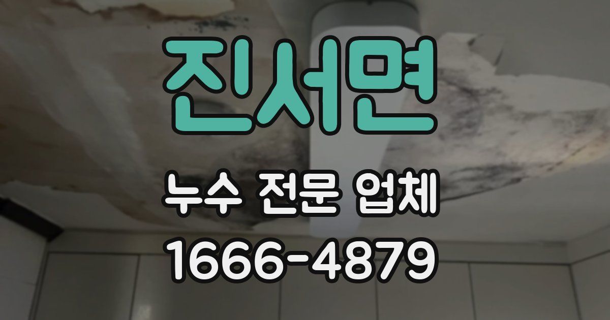 진서면 누수 전문 업체
