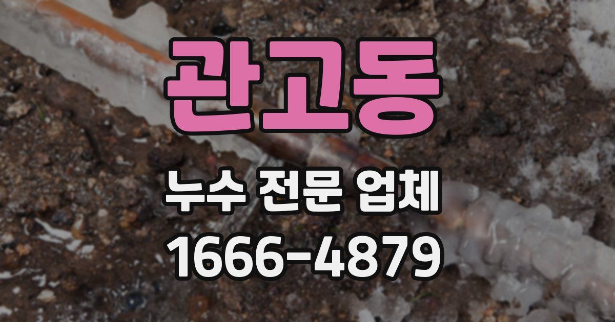 관고동 누수 전문 업체