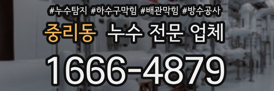 중리동 누수 전문 업체