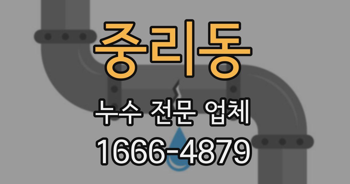 중리동 누수 전문 업체