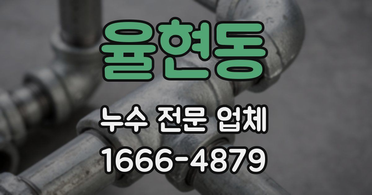 율현동 누수 전문 업체