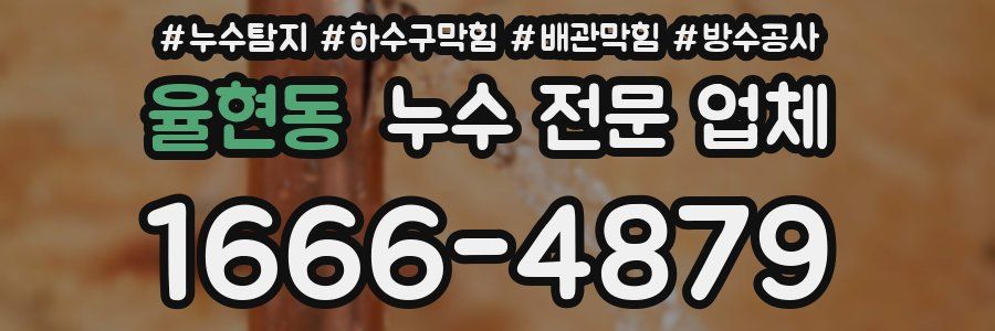 율현동 누수 전문 업체