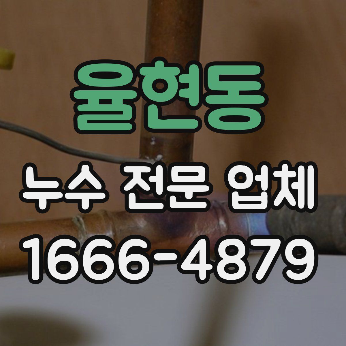 율현동 누수 전문 업체