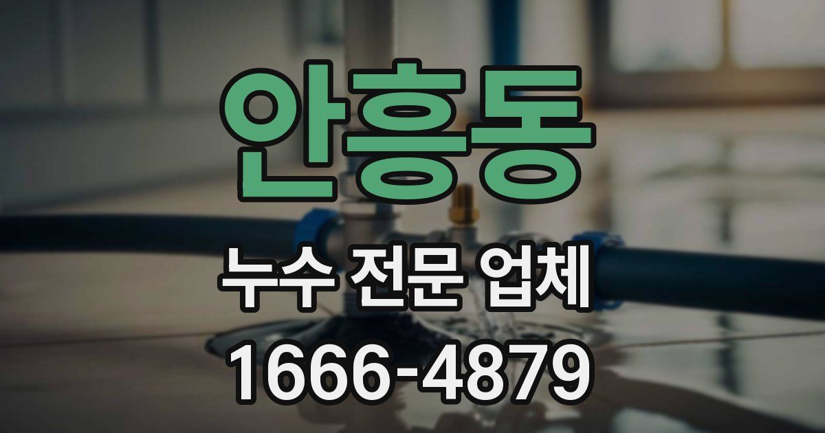 안흥동 누수 전문 업체
