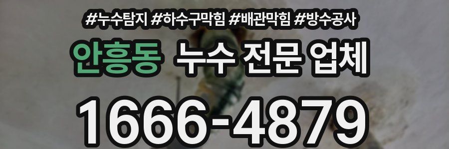 안흥동 누수 전문 업체