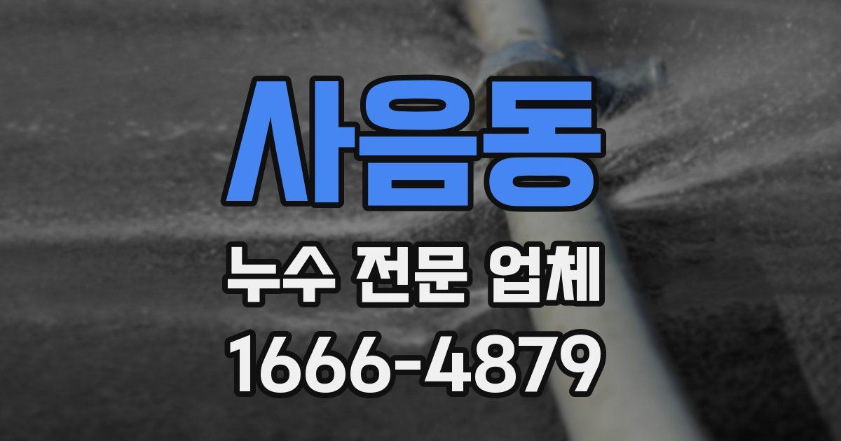 사음동 누수 전문 업체