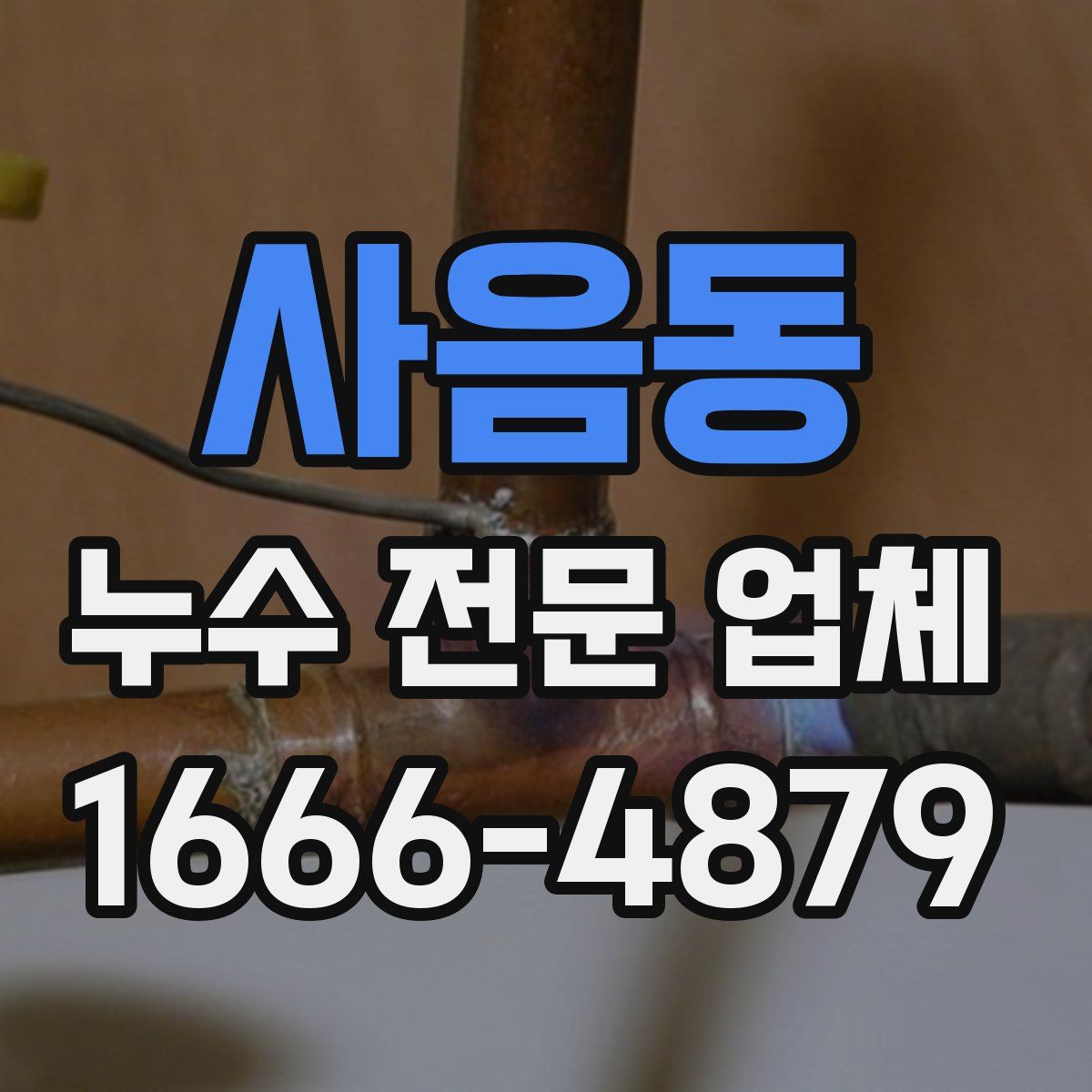 사음동 누수 전문 업체