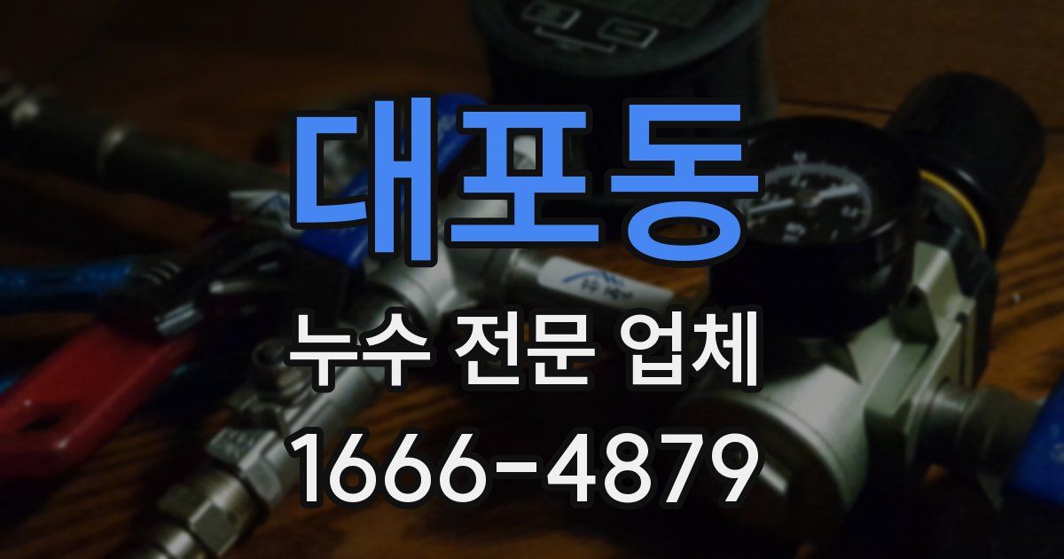 대포동 누수 전문 업체