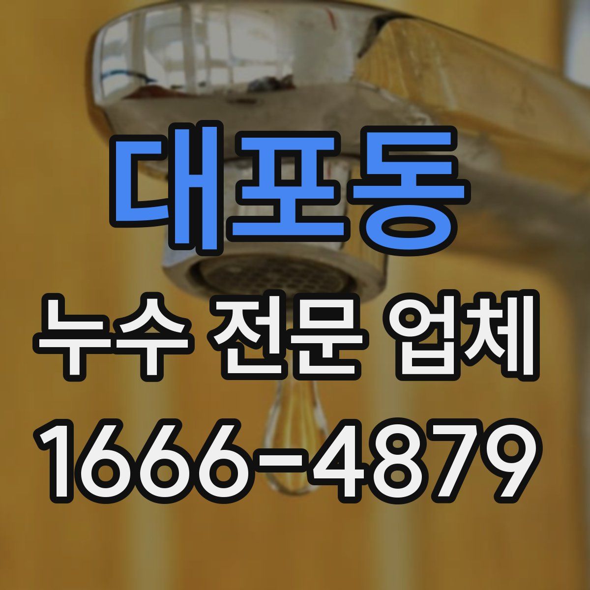 대포동 누수 전문 업체