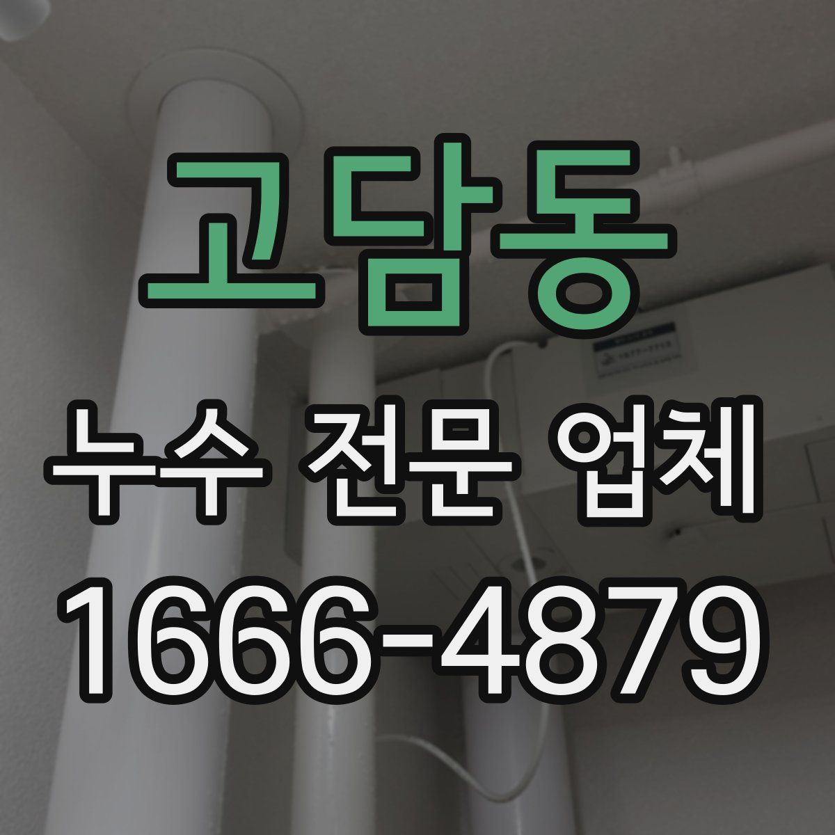고담동 누수 전문 업체