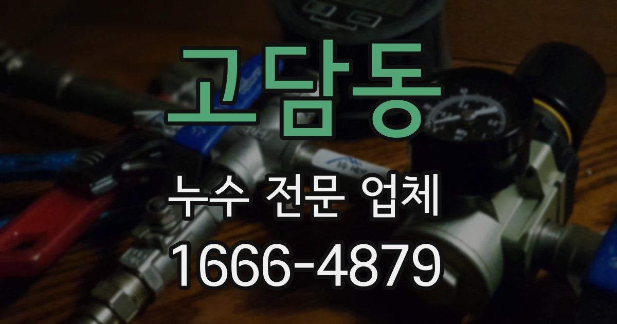 고담동 누수 전문 업체