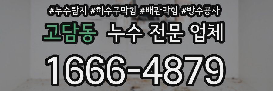 고담동 누수 전문 업체