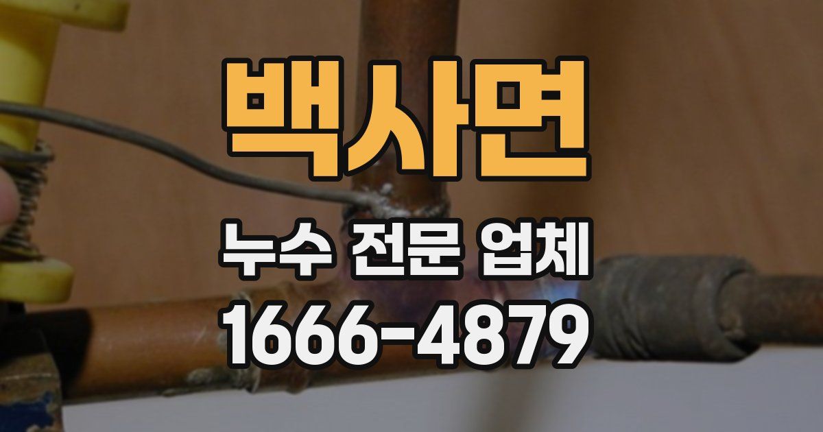 백사면 누수 전문 업체