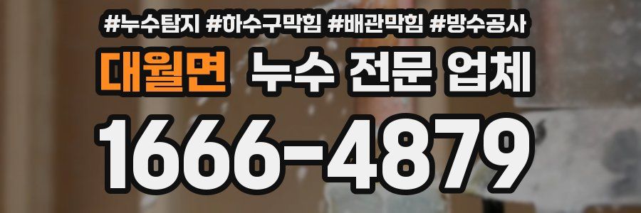 대월면 누수 전문 업체