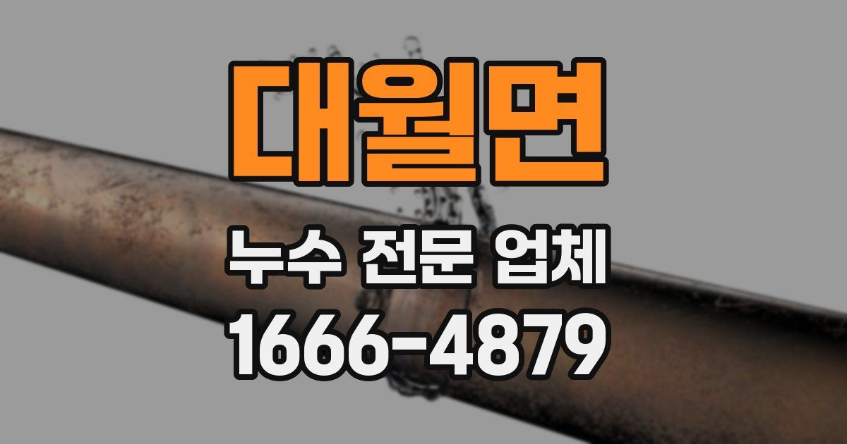 대월면 누수 전문 업체