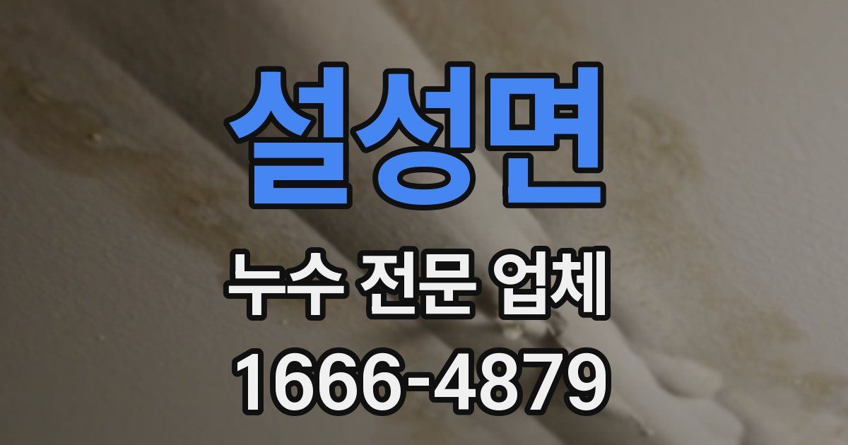 설성면 누수 전문 업체