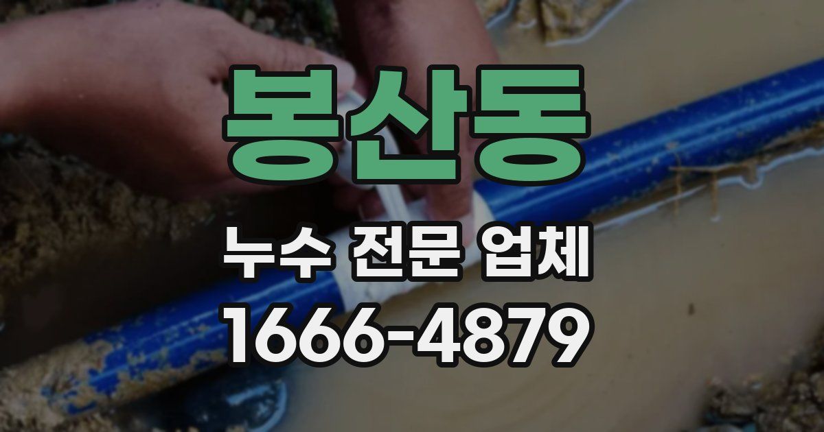 봉산동 누수 전문 업체