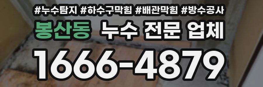 봉산동 누수 전문 업체