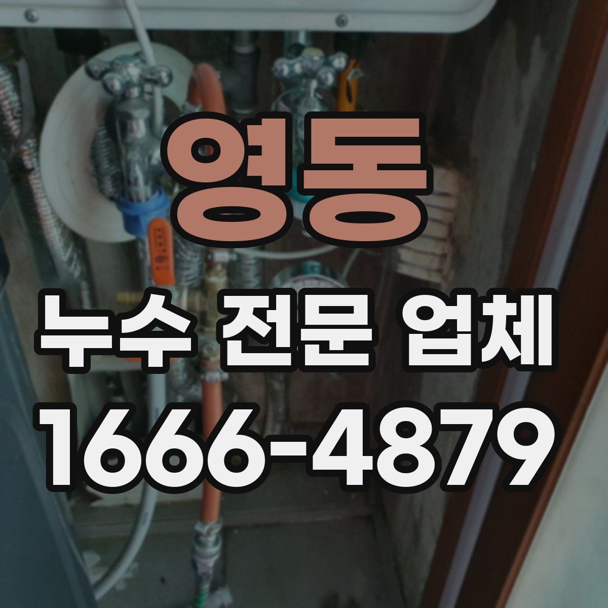 영동 누수 전문 업체