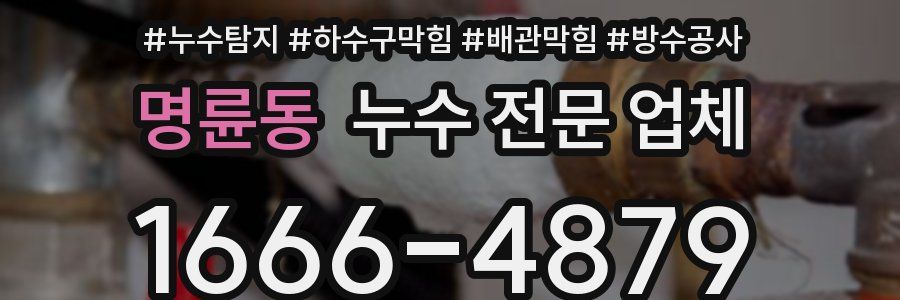 명륜동 누수 전문 업체