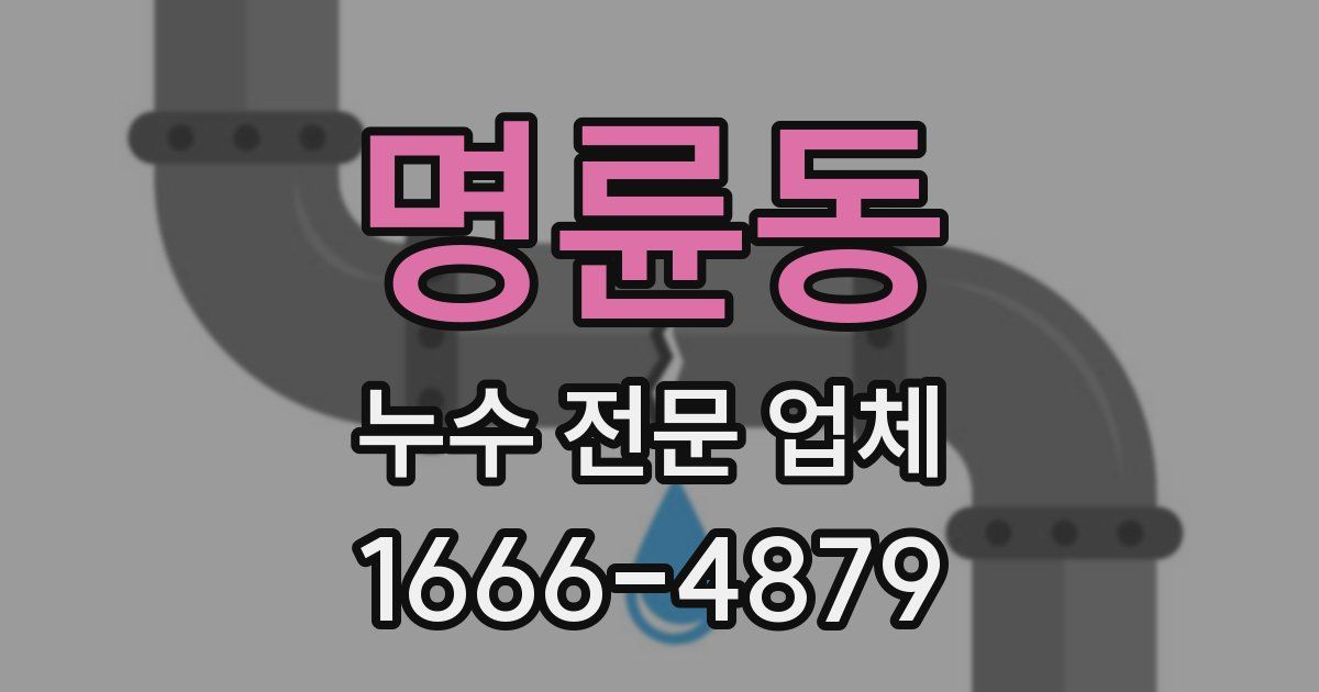 명륜동 누수 전문 업체