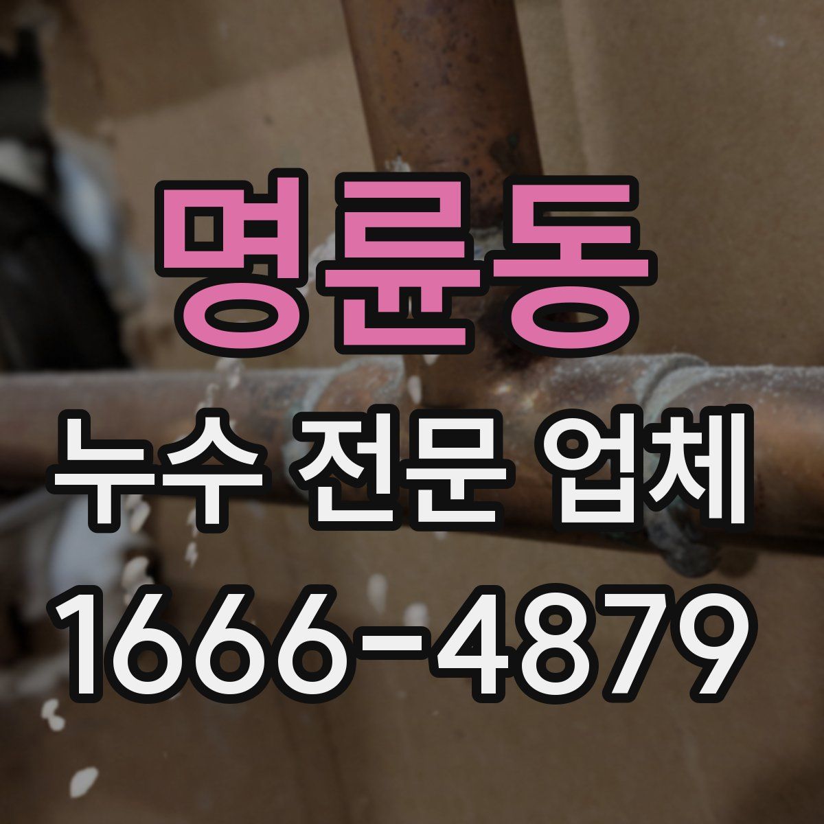 명륜동 누수 전문 업체