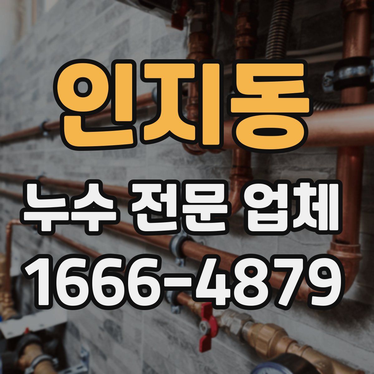 인지동 누수 전문 업체