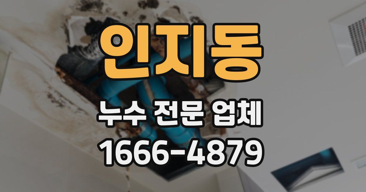 인지동 누수 전문 업체