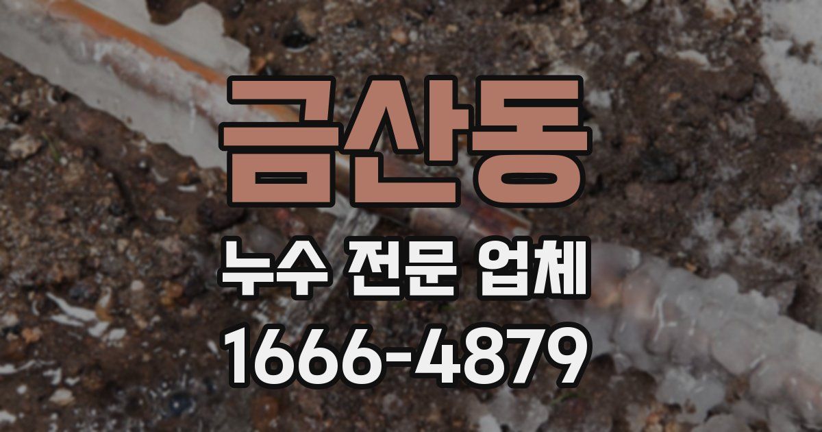 금산동 누수 전문 업체