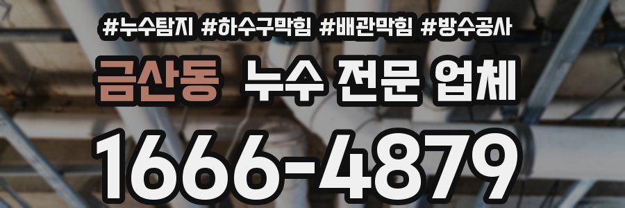 금산동 누수 전문 업체