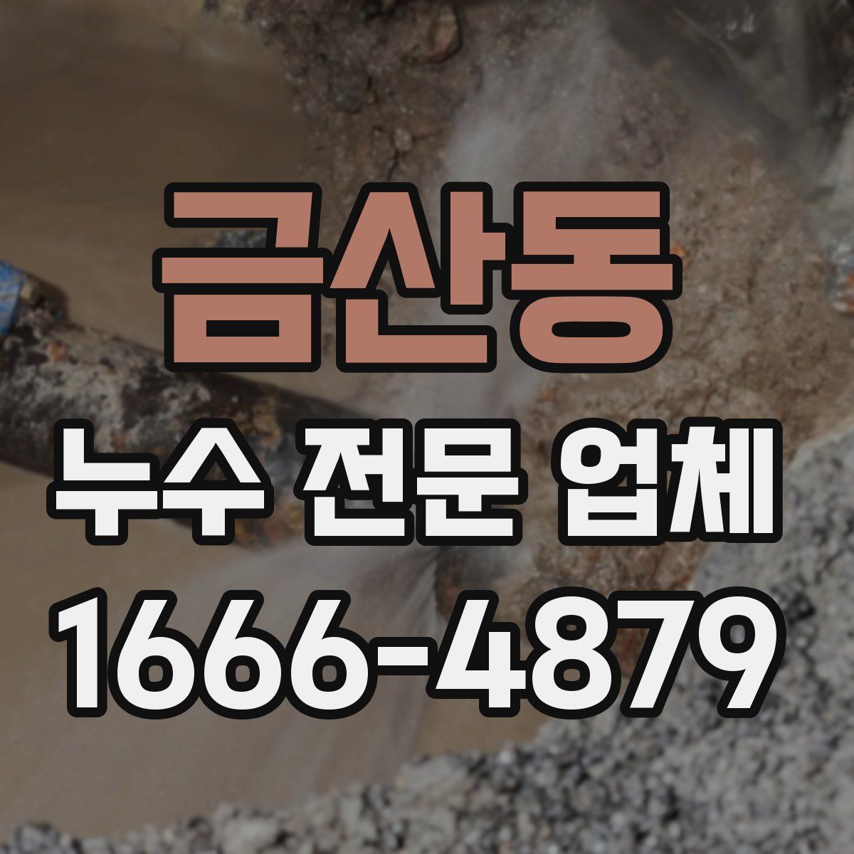 금산동 누수 전문 업체