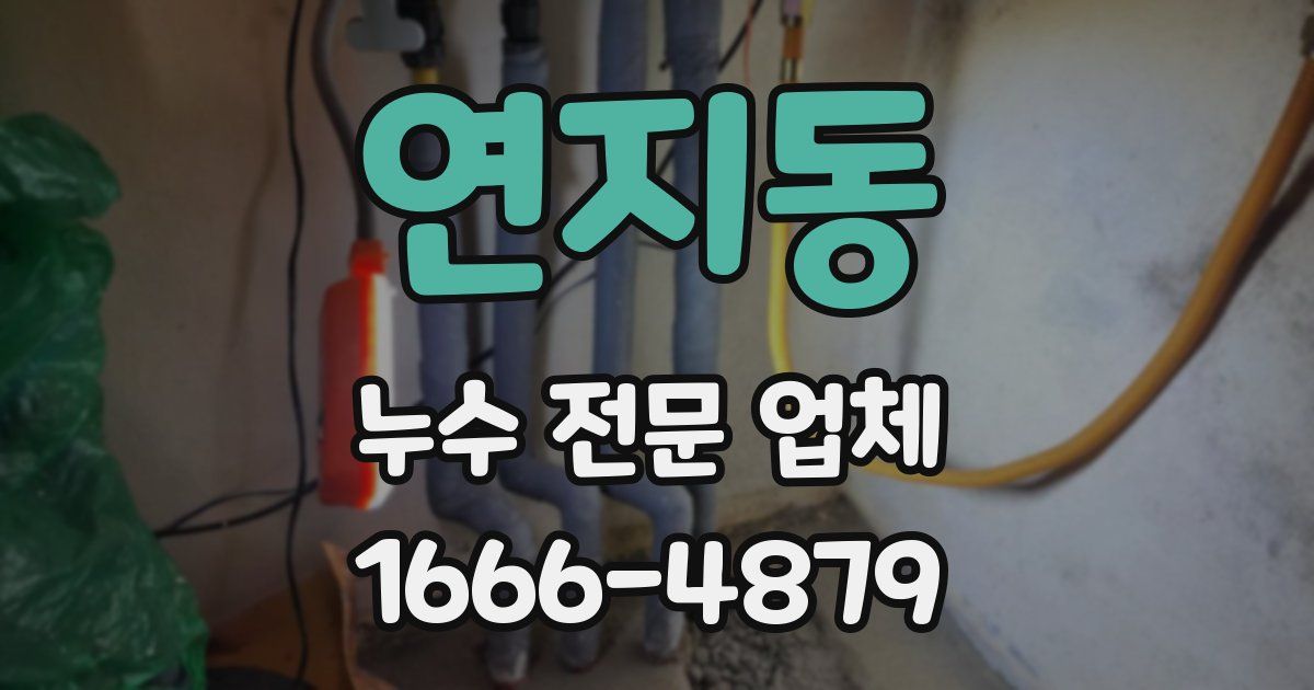 연지동 누수 전문 업체