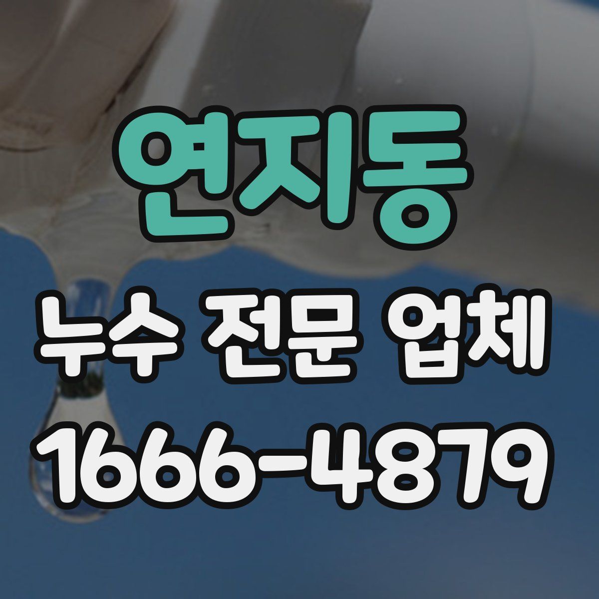 연지동 누수 전문 업체