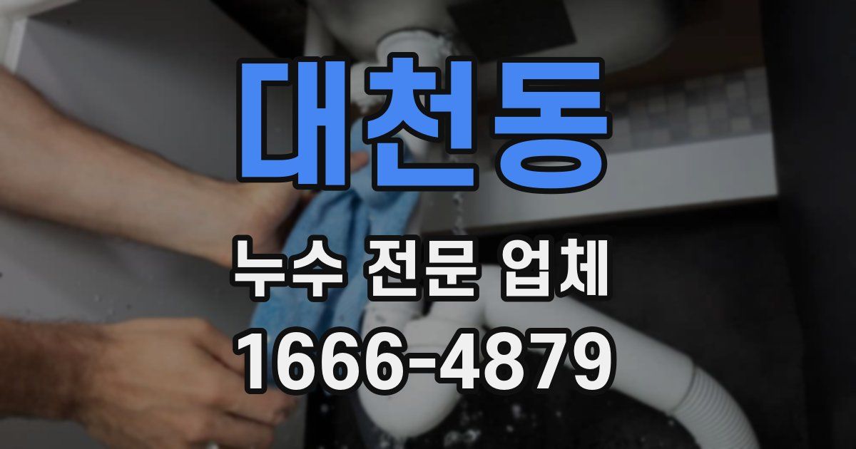 대천동 누수 전문 업체