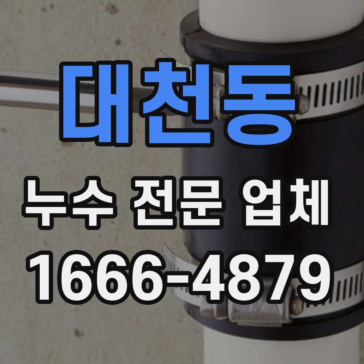 대천동 누수 전문 업체